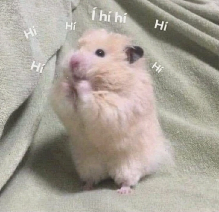 Bộ sưu tập các meme chuột hamster đáng yêu