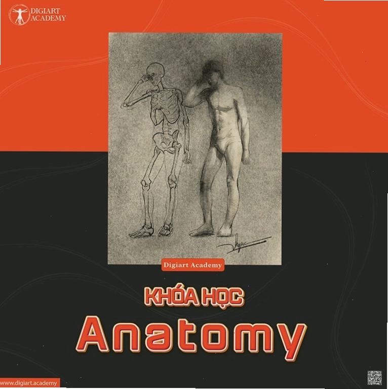 Các bước vẽ anatomy cho nhân vật hoạt hình