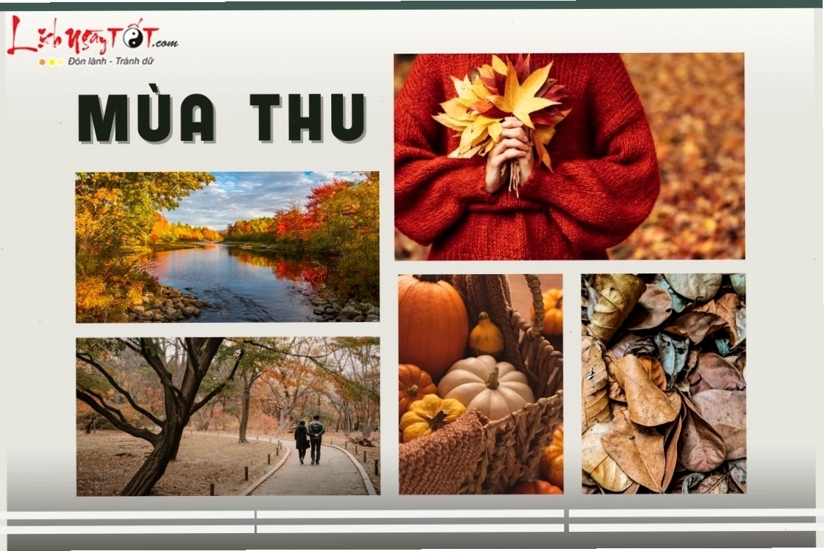 Cảnh sắc mùa thu với lá vàng rơi