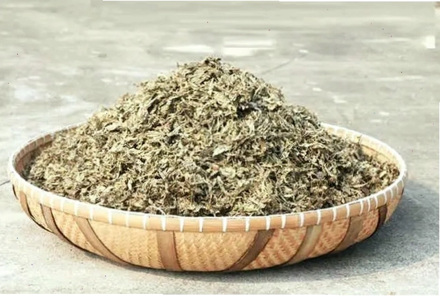 Cảnh thiên nhiên yên bình với cây cỏ xanh mướt
