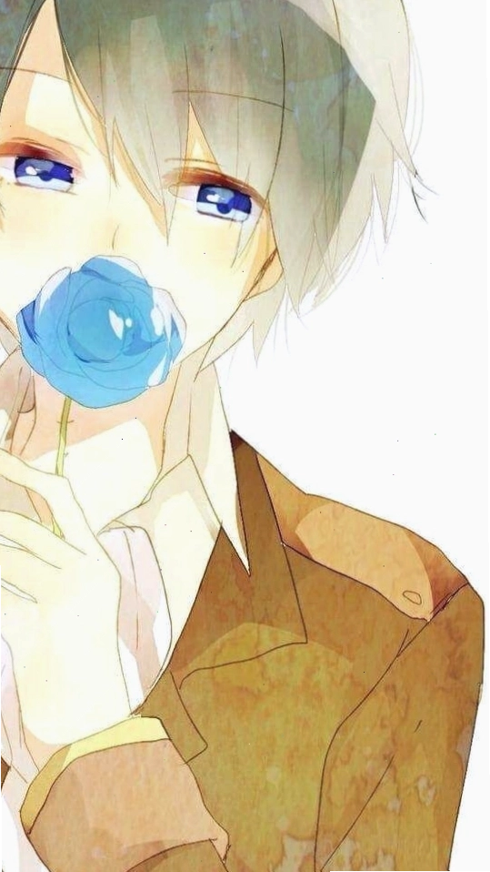Cặp đôi anime nam dễ thương với phong cách hoạt hình
