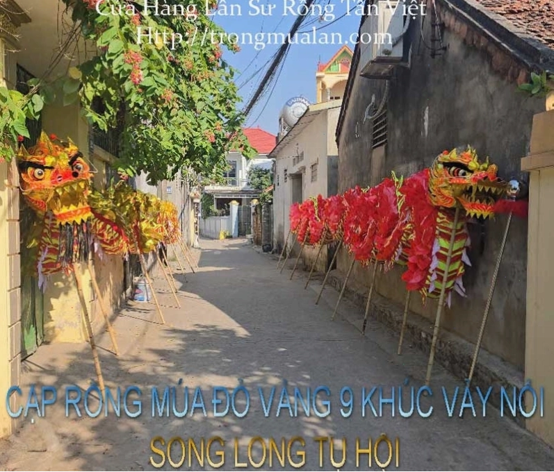 Cặp rồng vây 9 khúc đỏ vàng