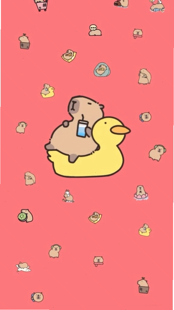 Capybara thư giãn trên phao vịt