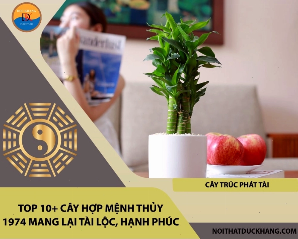 Cây hợp mệnh Thủy 1974 mang lại tài lộc và hạnh phúc