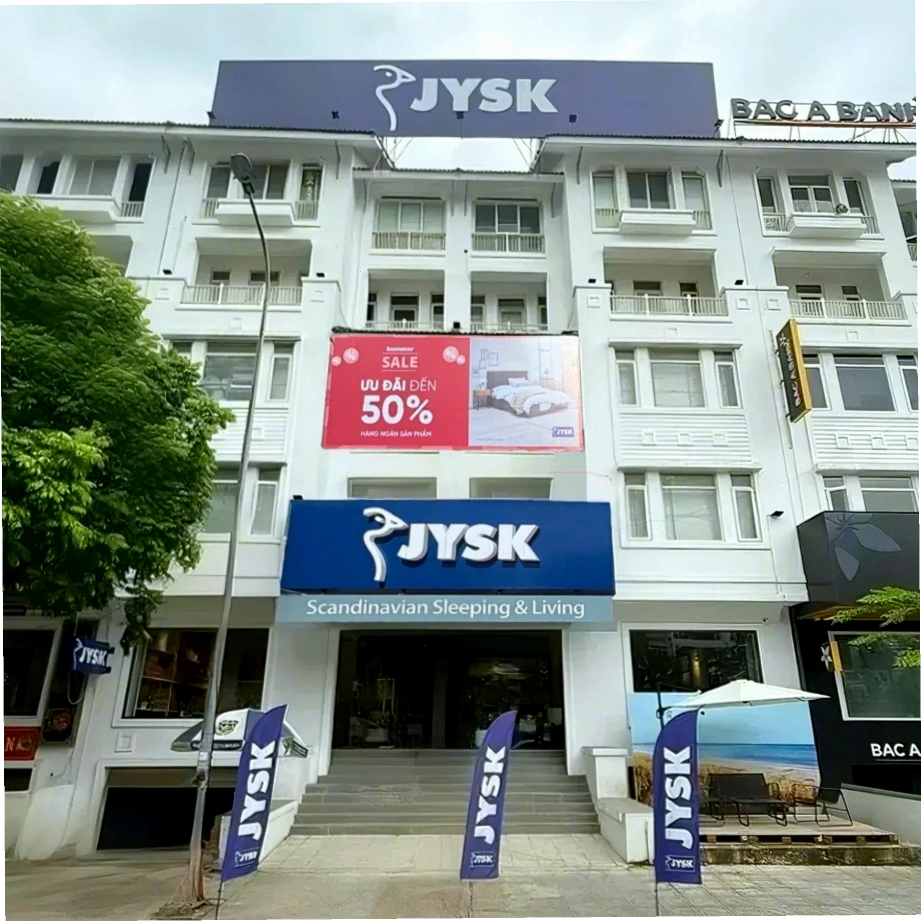 Cây Lan Ý thanh lọc không khí và mang lại sự bình yên