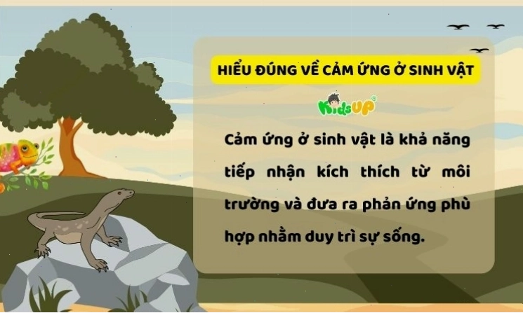 Cây vươn về phía ánh sáng thể hiện cảm ứng hướng sáng