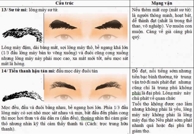 Chân mày rậm, dày đuôi mỏng