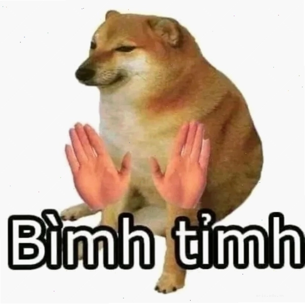 Cheems meme dog với biểu cảm đỉnh cao gây cười