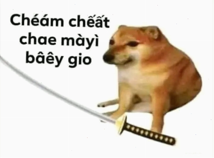 Cheems meme png nền trong suốt dễ dàng chỉnh sửa