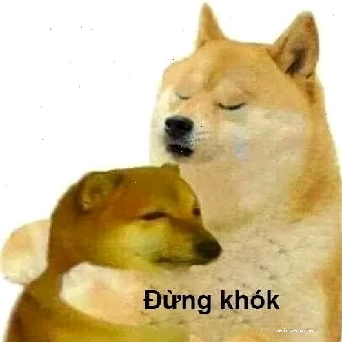 Chó cheems meme hài hước và đáng yêu vô cùng