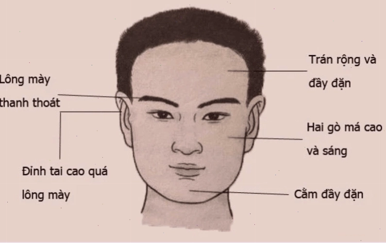 Đặc điểm vầng trán đầy đặn trên khuôn mặt người tướng khổ trước sướng sau