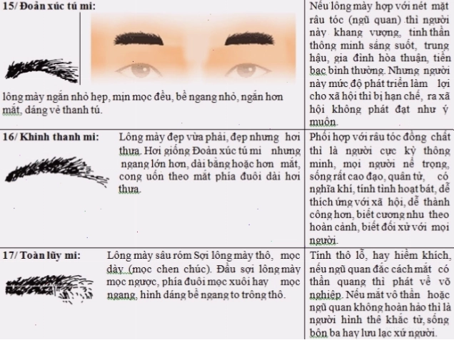 Dáng chân mày như sâu róm