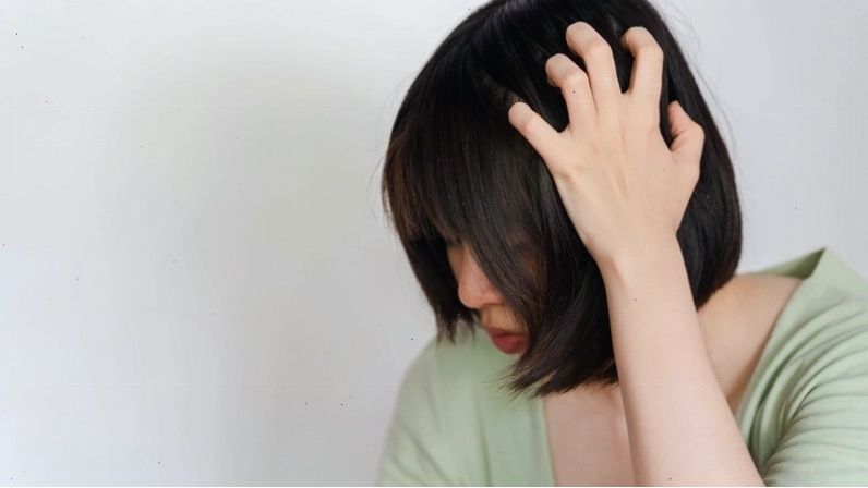 Độ ẩm cao là điều kiện thuận lợi cho vi nấm gây trứng tóc tăng sinh