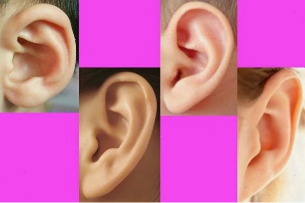 Đoán vận mệnh của đời người qua tướng tai - Ảnh 1