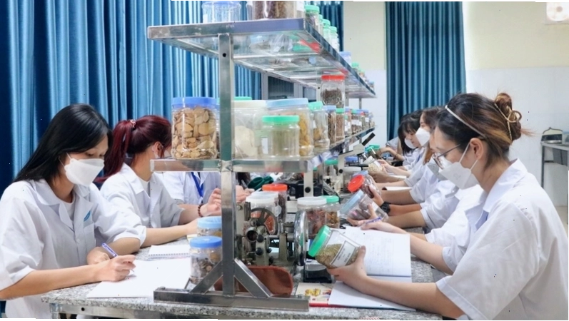 Dược sĩ lâm sàng là gì? Vai trò của dược sĩ lâm sàng trong y tế