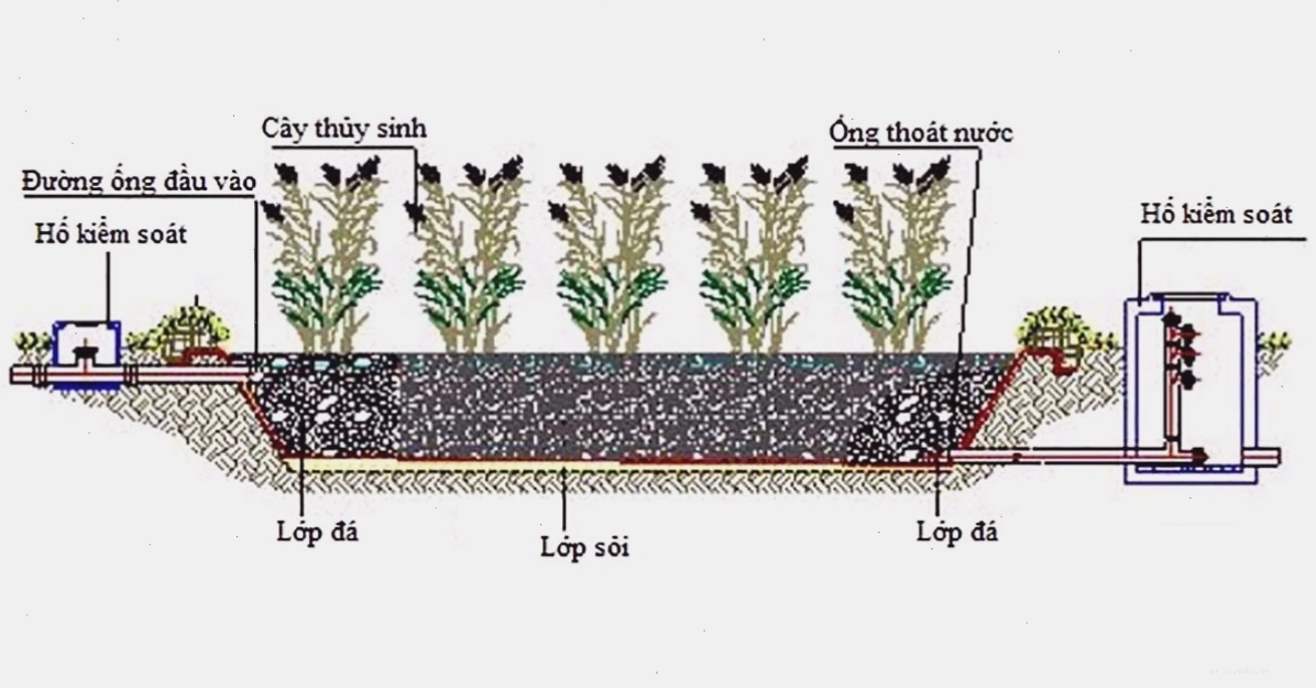 Hệ thống xử lý nước thải bằng công nghệ Wetland có dòng chảy ngang