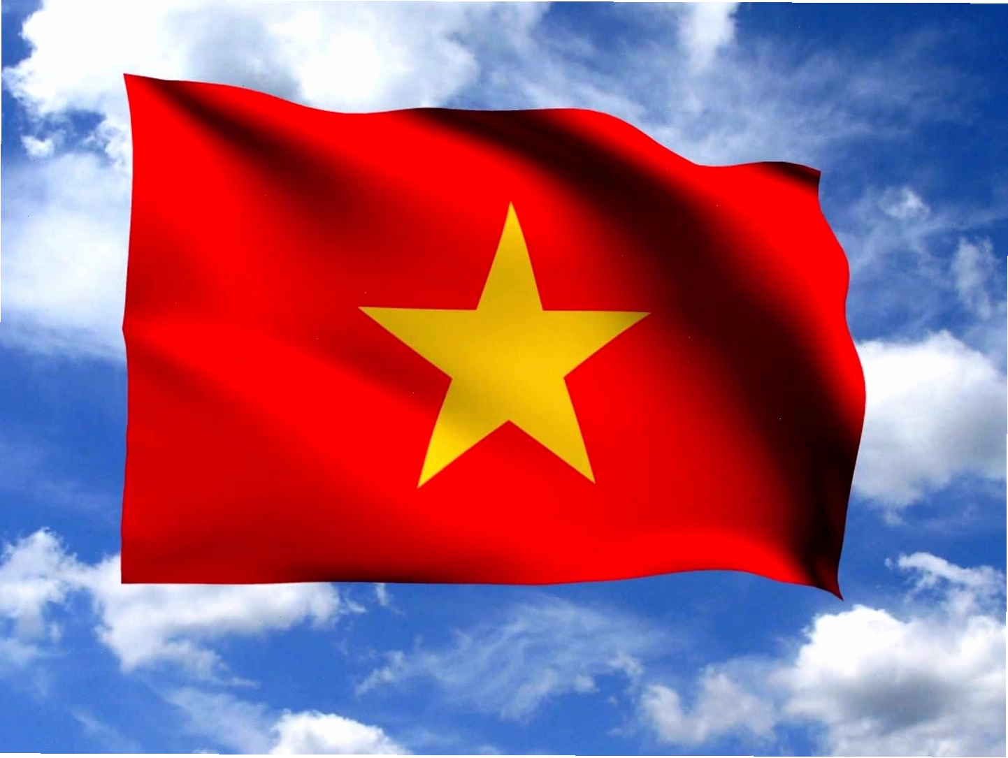 Hình ảnh lá cờ Việt Nam tạo điểm nhấn độc đáo cho avatar