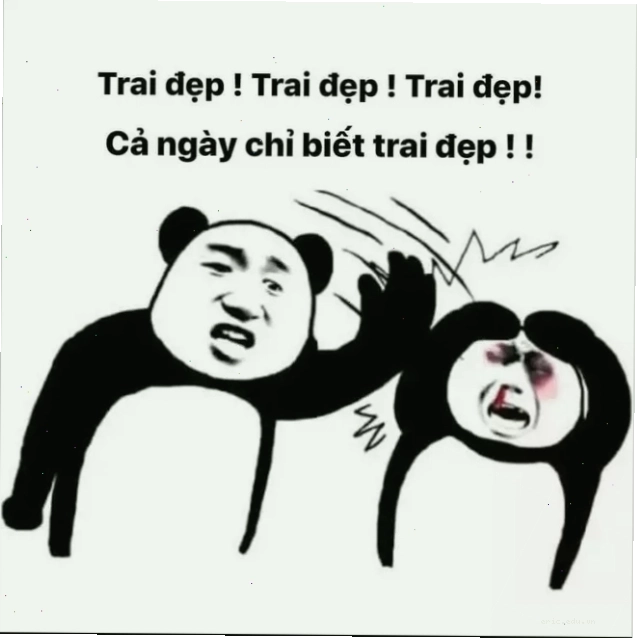 Hình ảnh minh họa các loại meme hài hước phổ biến trên mạng