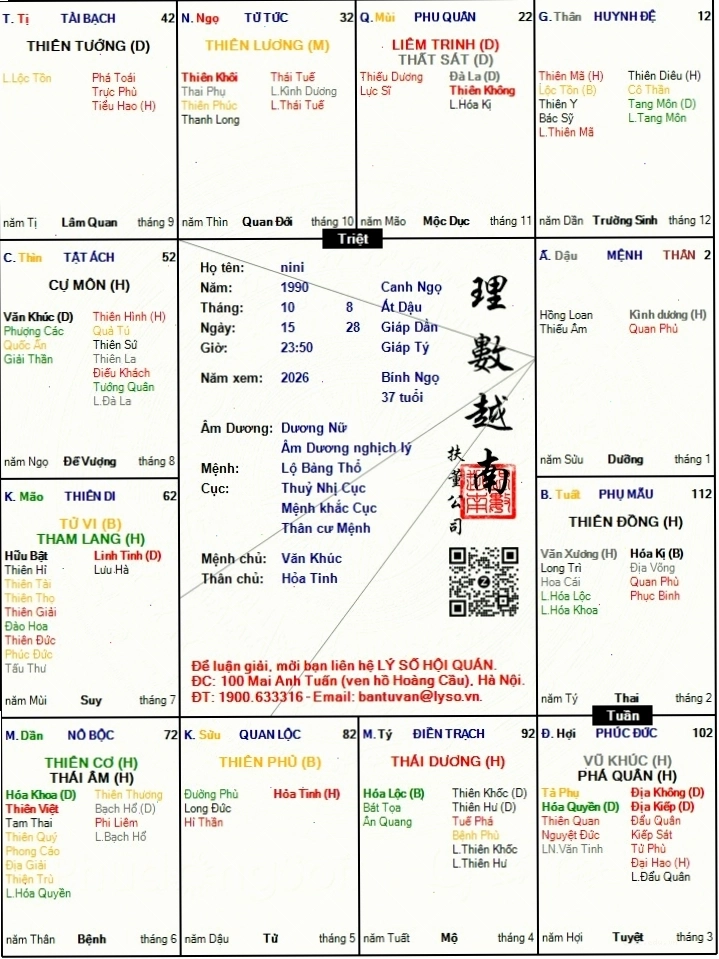 Hình ảnh minh họa một lá số tử vi