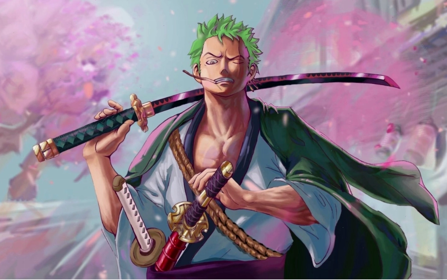 Hình ảnh Zoro đang tấn công