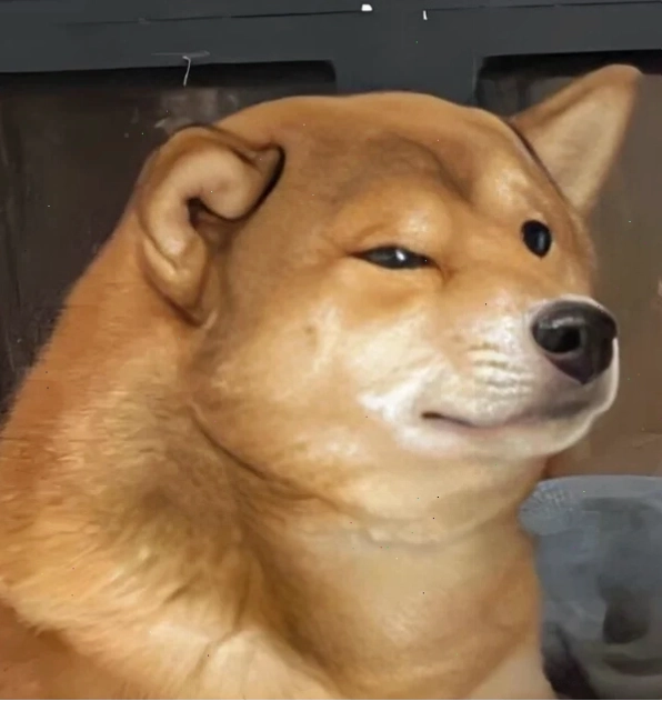 Hình chó giận dỗi meme