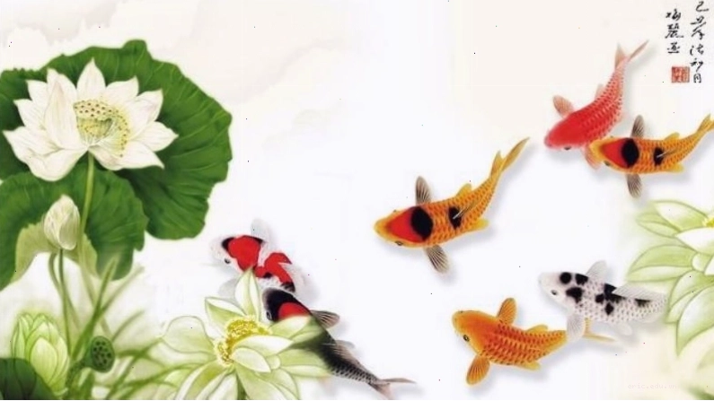 Hình nền cá chép hóa rồng 3D ấn tượng