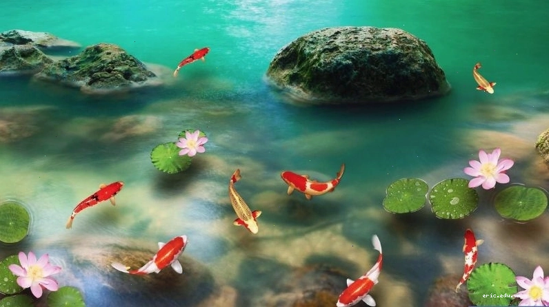 Hình nền cá chép hóa rồng 3D sắc nét