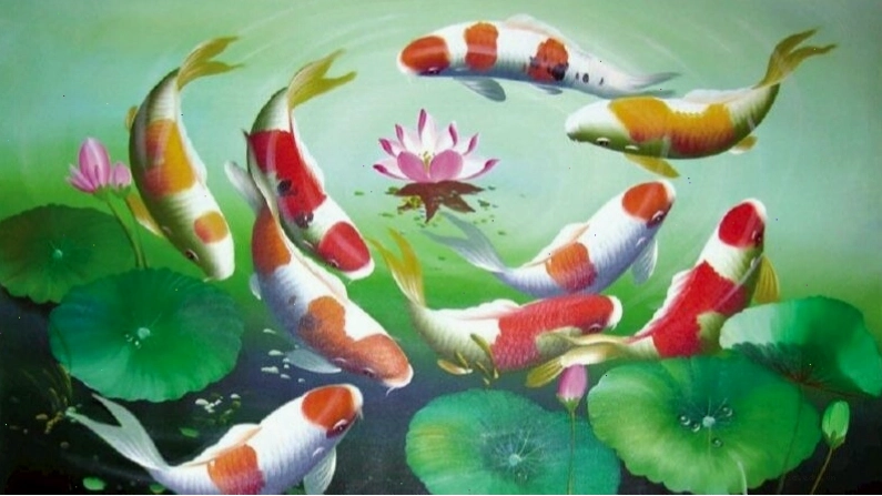 Hình nền cá chép hoa sen 3D với hiệu ứng ánh sáng lung linh