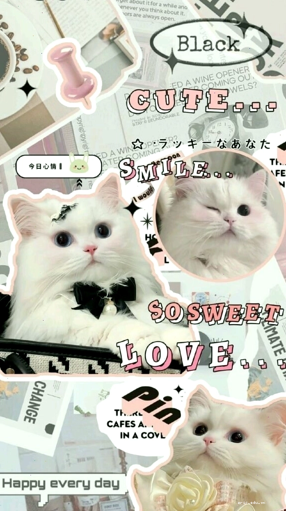 Hình nền cute với các loài vật dễ thương