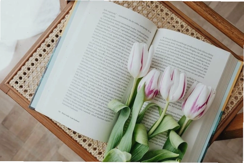 Hình nền hoa tulip với ánh sáng yếu
