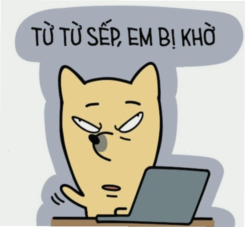 Hình nền máy tính meme về cuộc họp