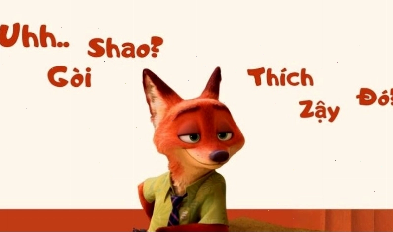Hình nền máy tính meme về mèo