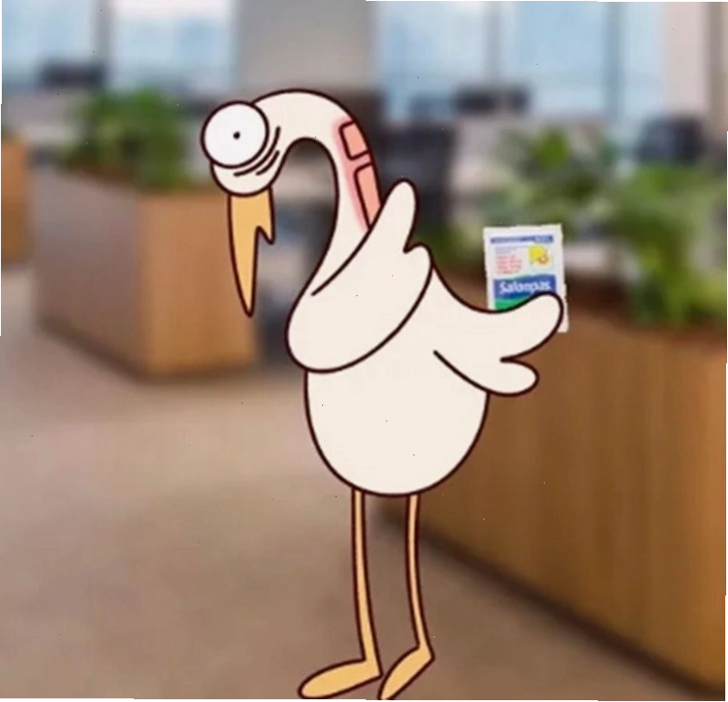 Hình nền meme động vật hài hước