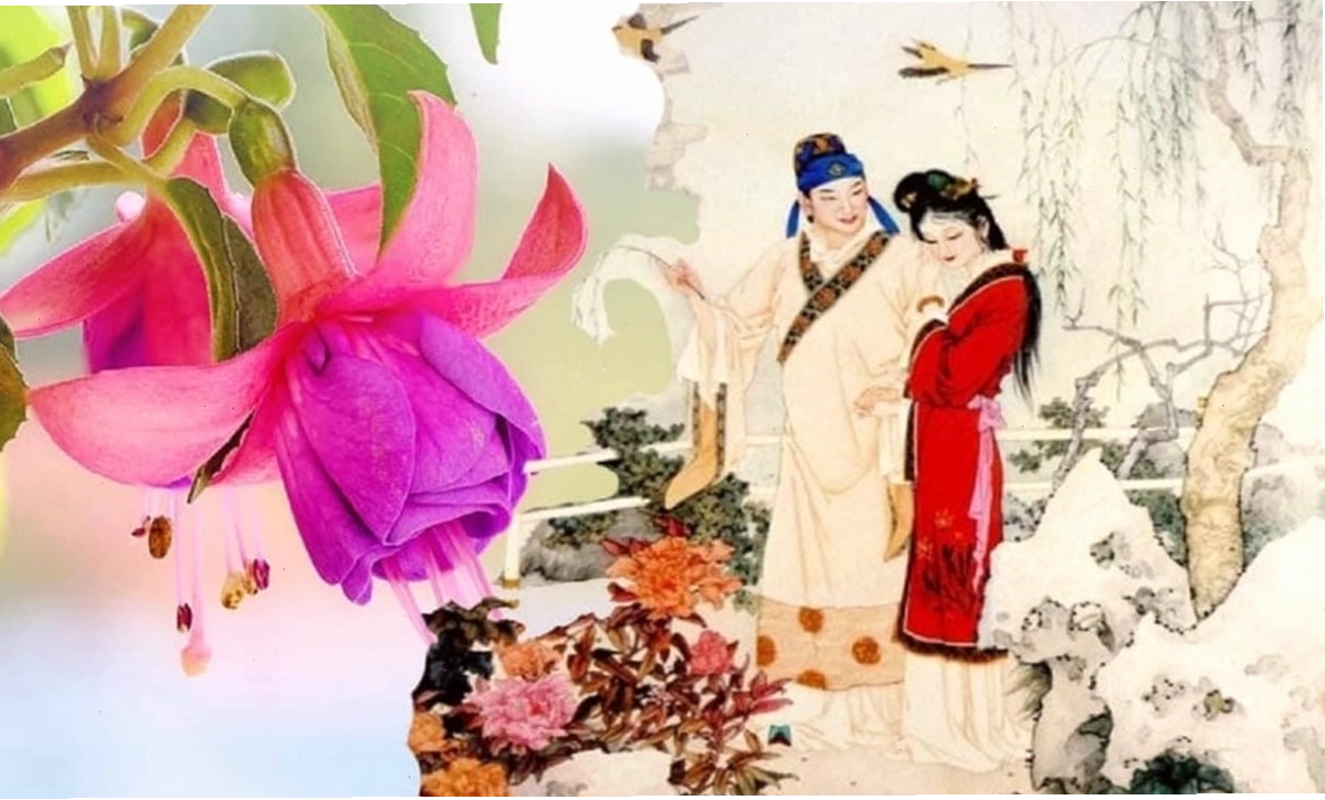 Hoa râm bụt nở rộ trên cành lá xanh