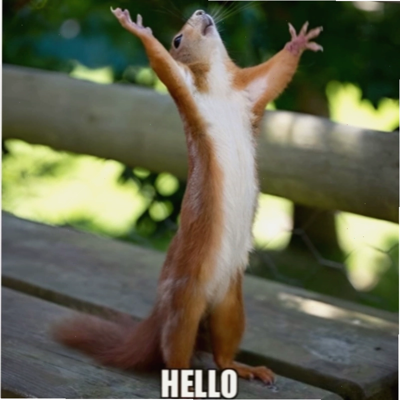 Hướng dẫn tạo meme hello