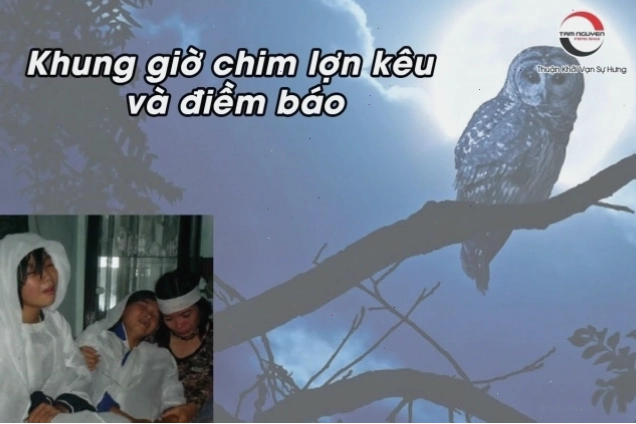 Khung giờ chim lợn kêu có thể ảnh hưởng đến ý nghĩa điềm báo