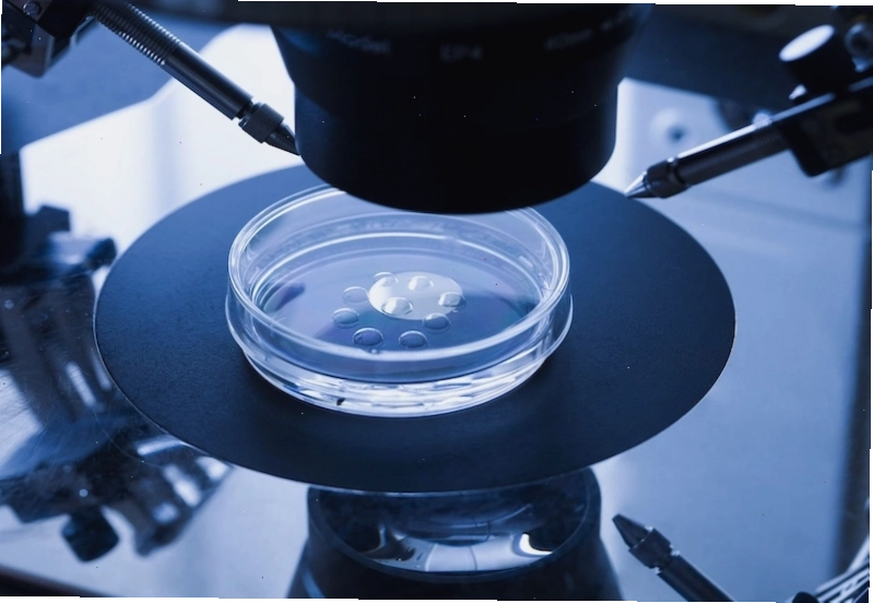 Kích trứng bằng phương pháp thụ tinh ống nghiệm IVF