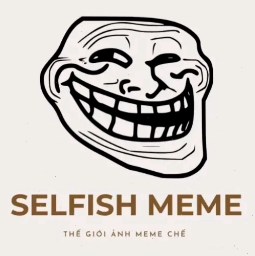 Logo The Selfish Meme
