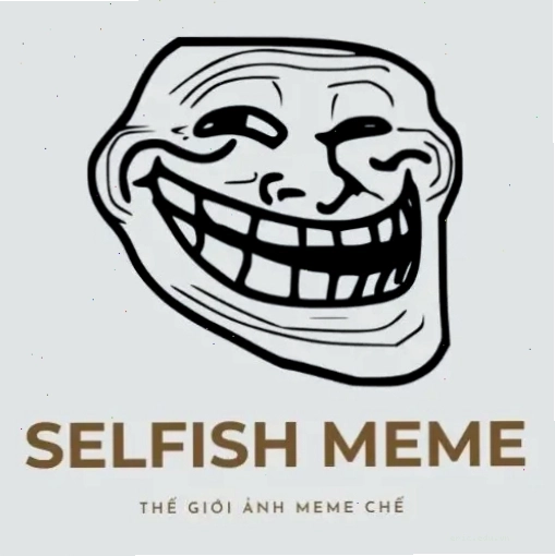 Logo The Selfish Meme thể hiện chủ đề của trang