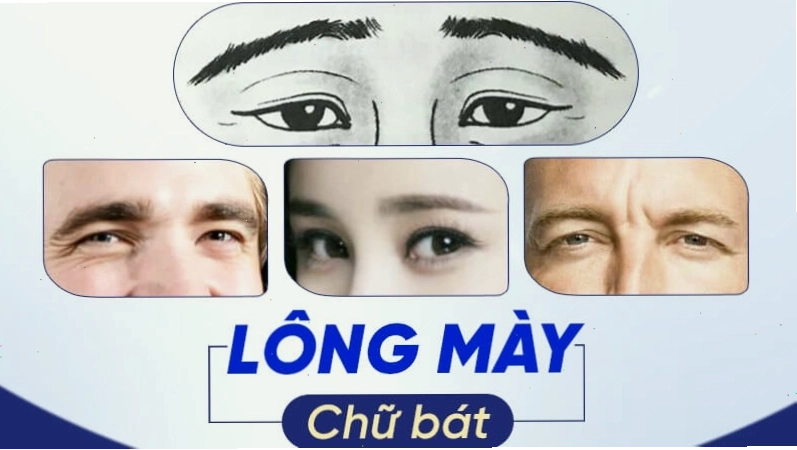 Lông mày chữ Bát thể hiện sự không ổn định trong tính cách