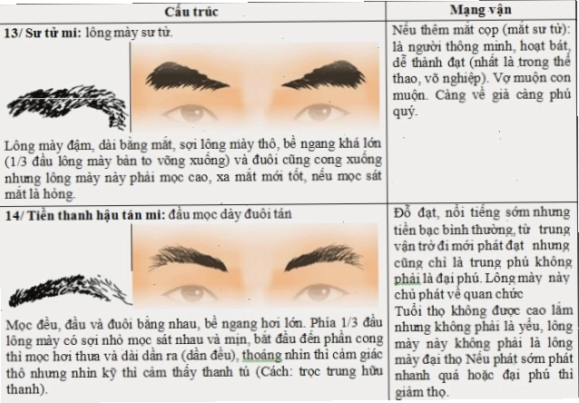 Lông mày đậm, Lông mày dày đuôi mỏng