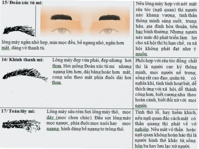 Lông mày ngắn nhỏ đẹp, Lông mày đẹp, Lông mày như sâu róm