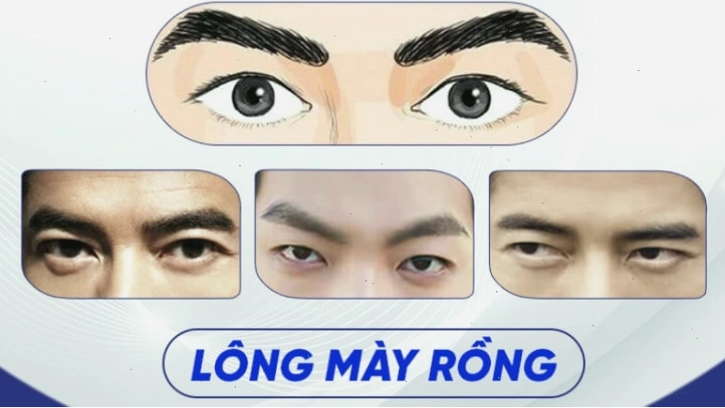 Lông mày rồng của nam giới thể hiện sự thông minh và tài trí