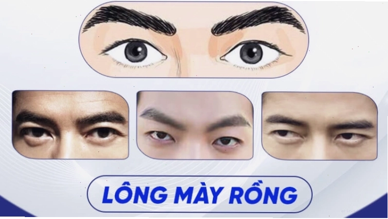Lông mày rồng là dáng mày nam được đánh giá cao trong nhân tướng học