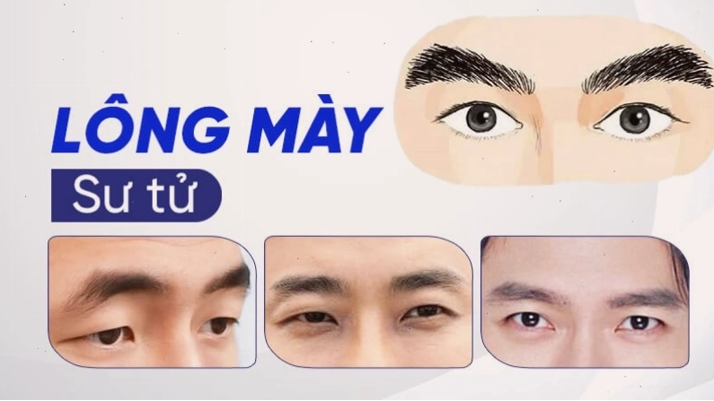 Lông mày sư tử thể hiện khí chất mạnh mẽ của nam giới
