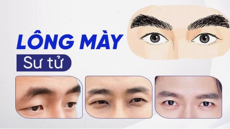 Lông mày sư tử với sợi lông thô, mọc xếch