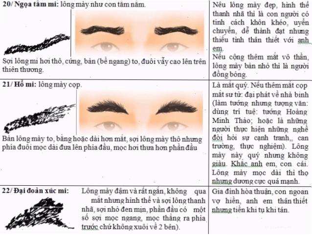 Lông mi thô cứng, Lông mày to bằng, Lông mày đậm ngắn
