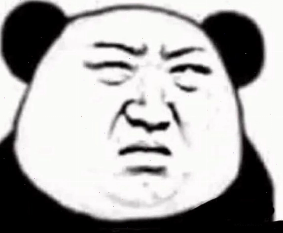 Mặt gấu meme khinh bỉ với ánh mắt đầy sự chê bai