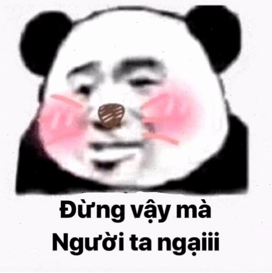 Mặt gấu trúc ngại ngùng