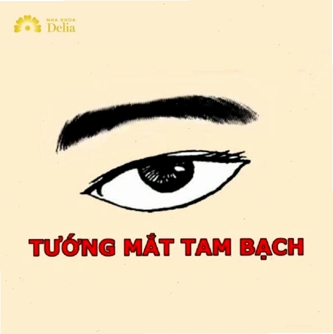 Mắt lớn trong nhân tướng học và ý nghĩa cởi mở